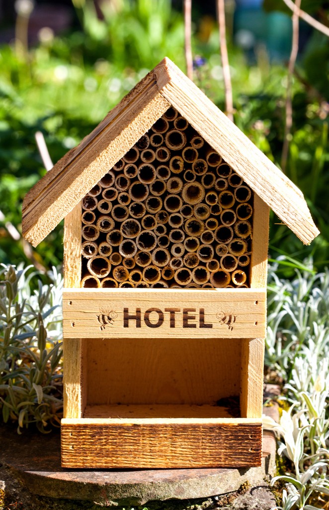 Maison pour les abeilles